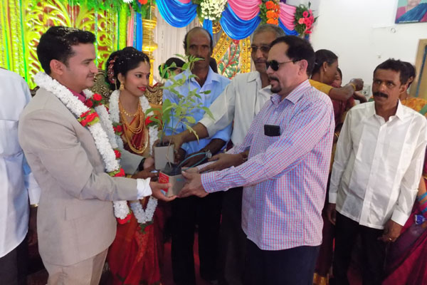 ಮದುವೆ ಮಂಟಪದಲ್ಲಿ ಬಂಧುಗಳಿಗೆ ಸಸಿ ವಿತರಣೆ